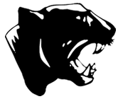 Blackcat Fence Post Driver Pounder